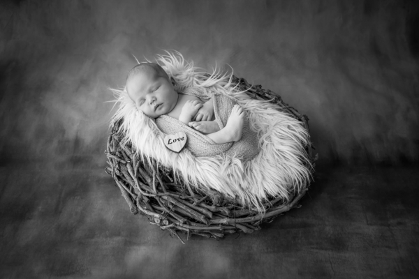 Ayden´s Newbornfotoshooting